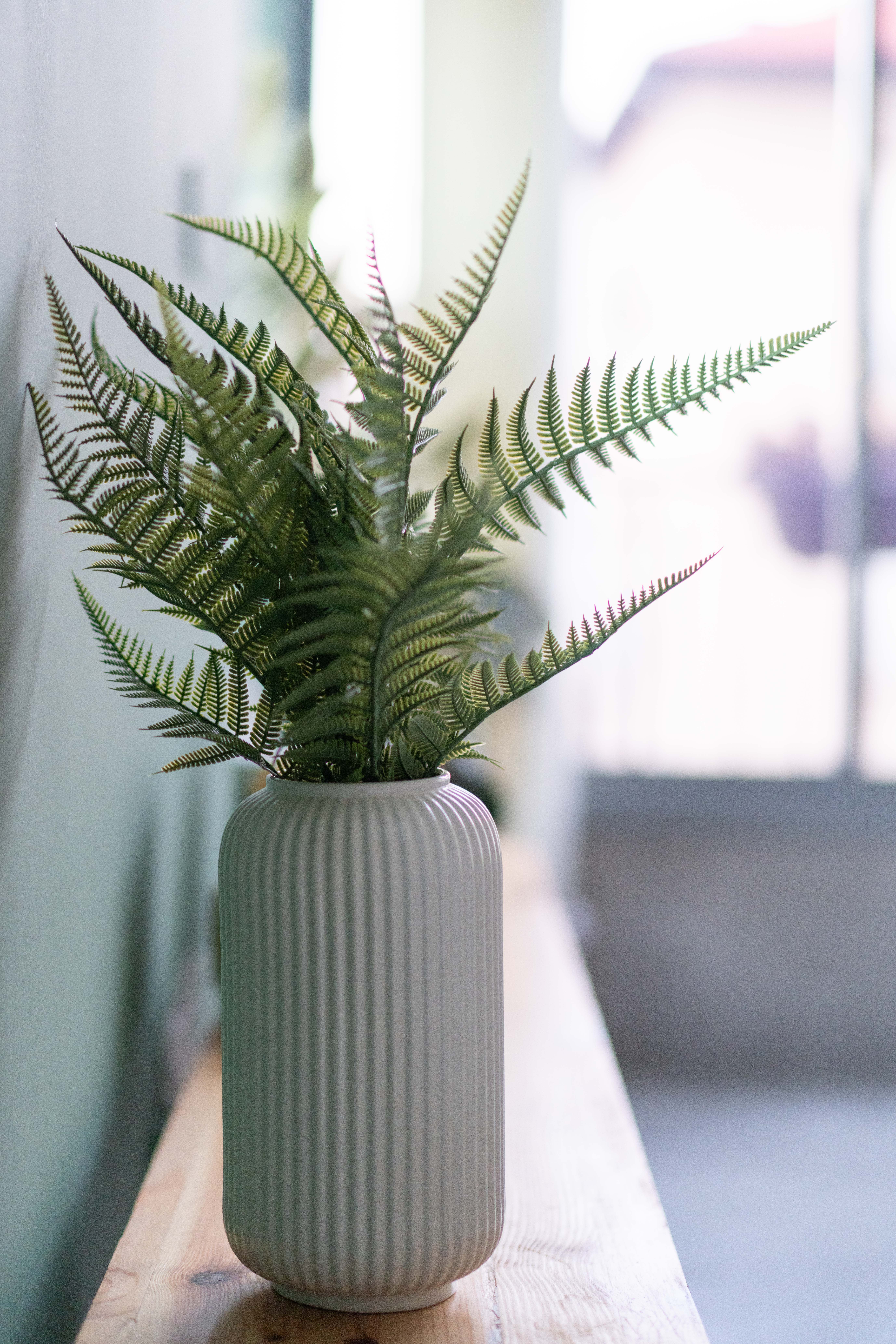 קלואז אפ כד בסלון